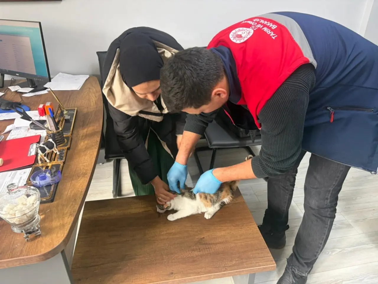 Hem Patiler Hem Gıda Takipte 4