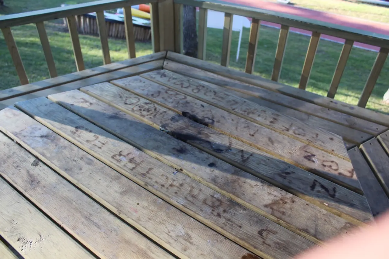 Yeni Yapılan Kamelyalar Hedef Oldu 7