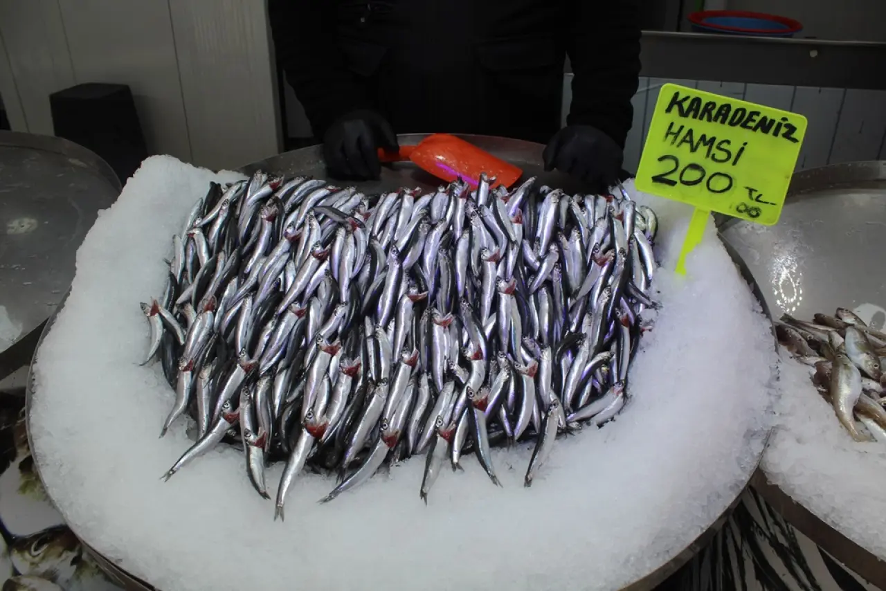 Tezgahlarda Hamsi Bereketi 7