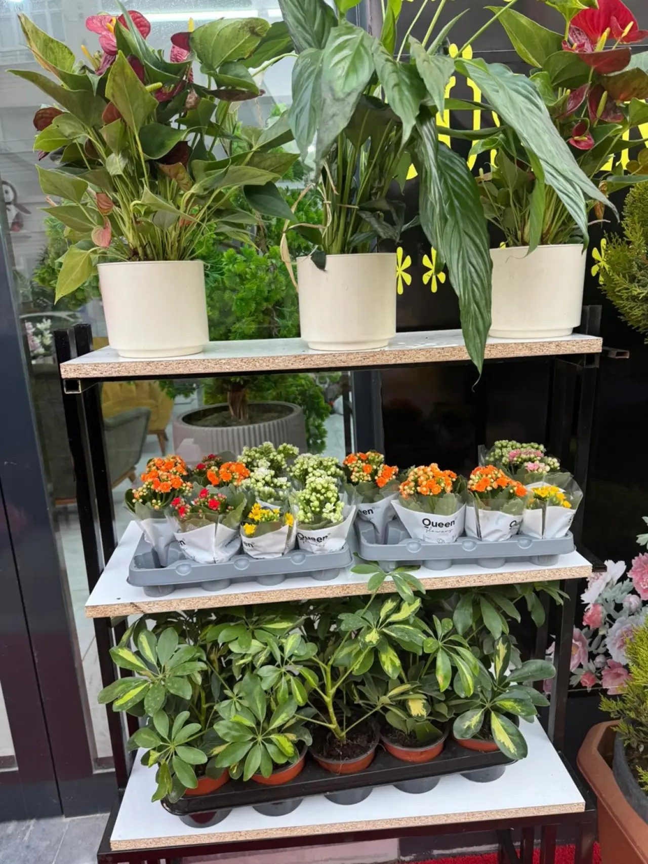 Çiçeklerde Sezon Hareketliliği 1