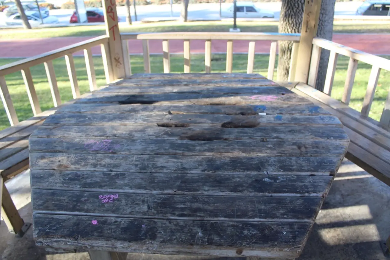 Yeni Yapılan Kamelyalar Hedef Oldu 2