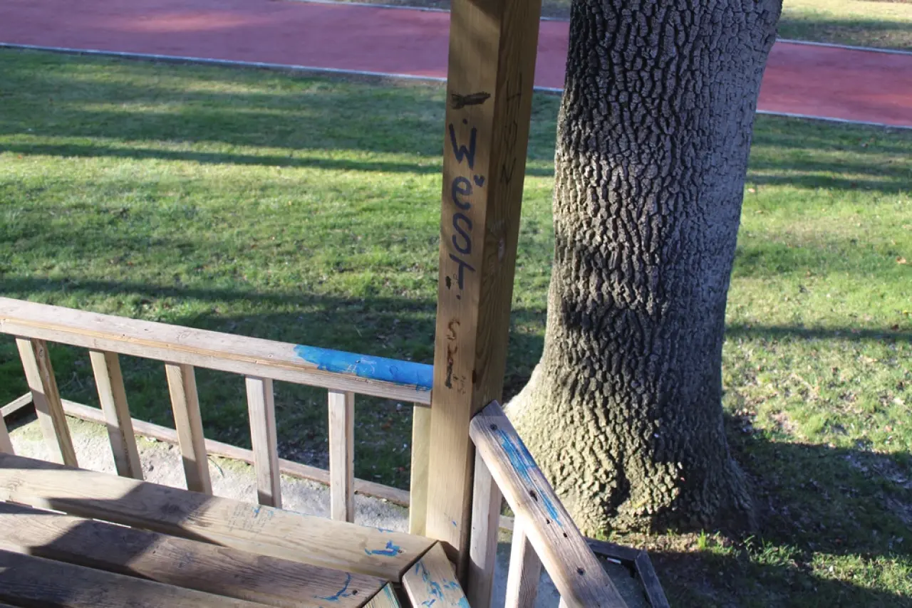 Yeni Yapılan Kamelyalar Hedef Oldu 5