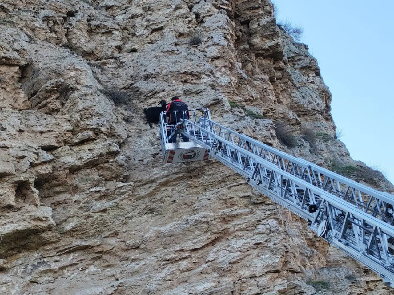 Uçurumda Mahsur Kalan Keçileri İtfaiye Kurtardı 4
