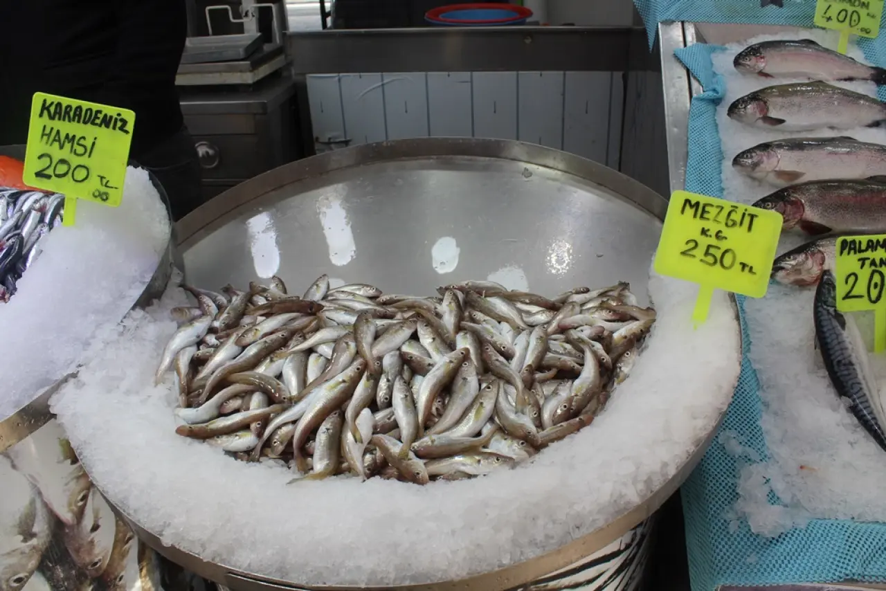 Tezgahlarda Hamsi Bereketi 3