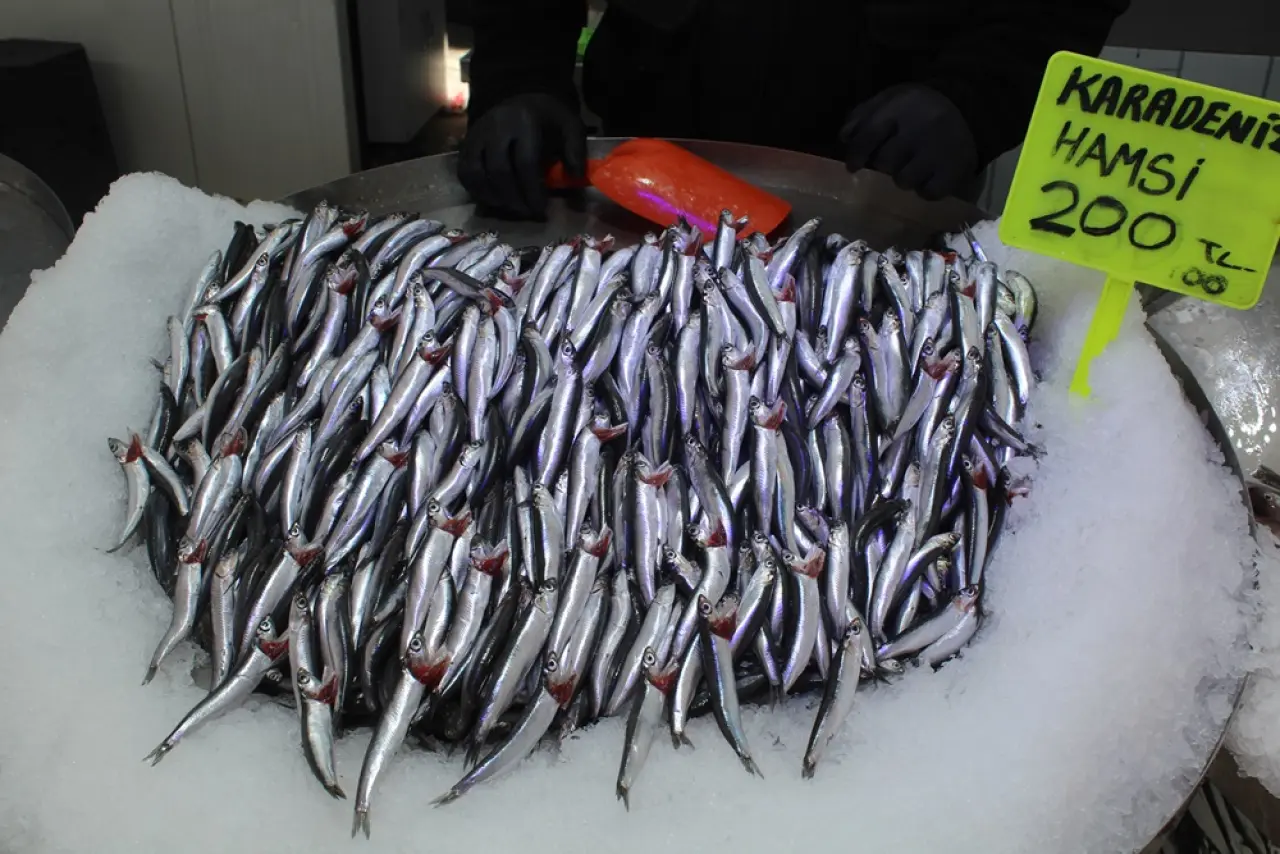 Tezgahlarda Hamsi Bereketi 6
