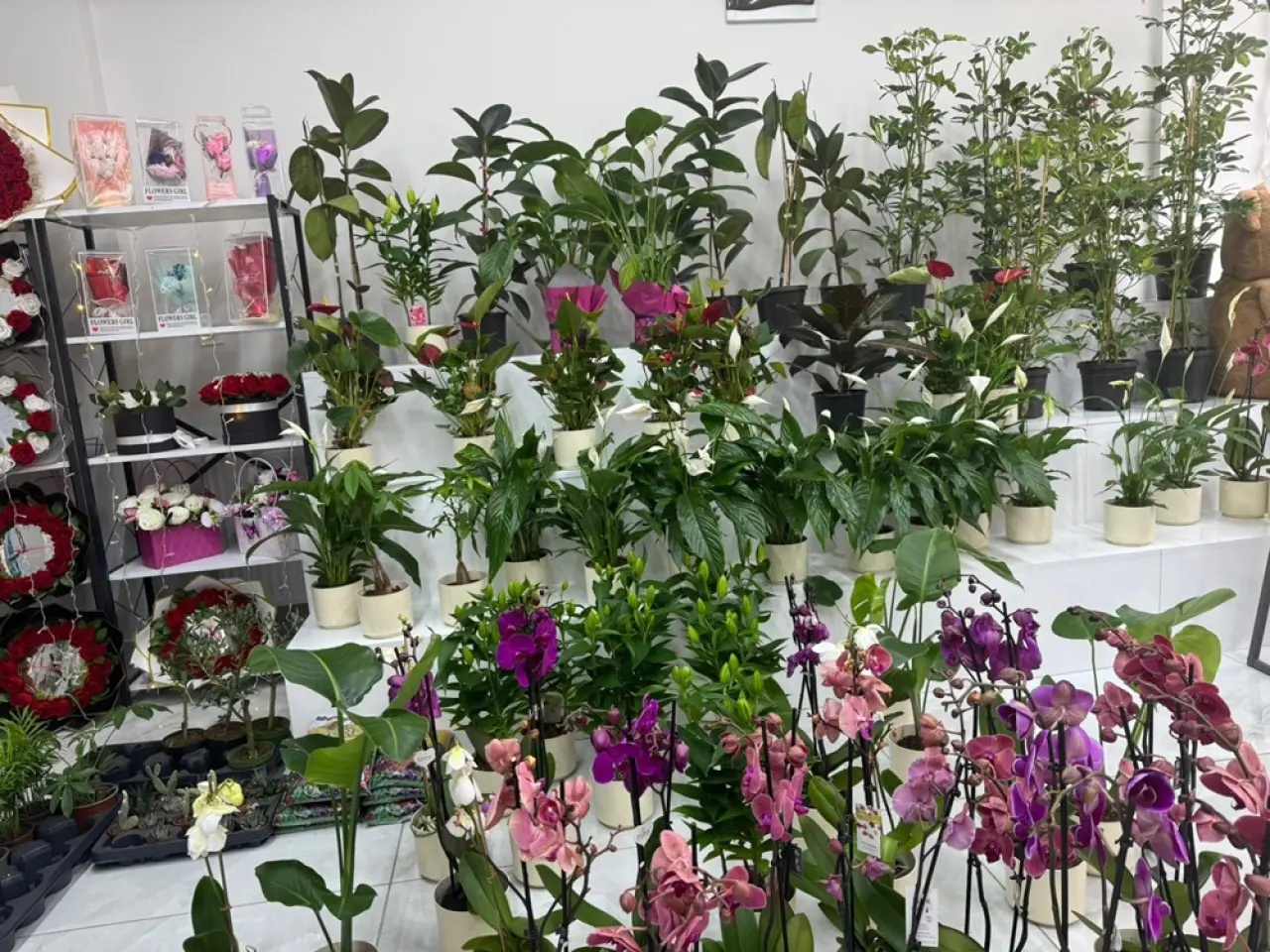 Çiçeklerde Sezon Hareketliliği 2