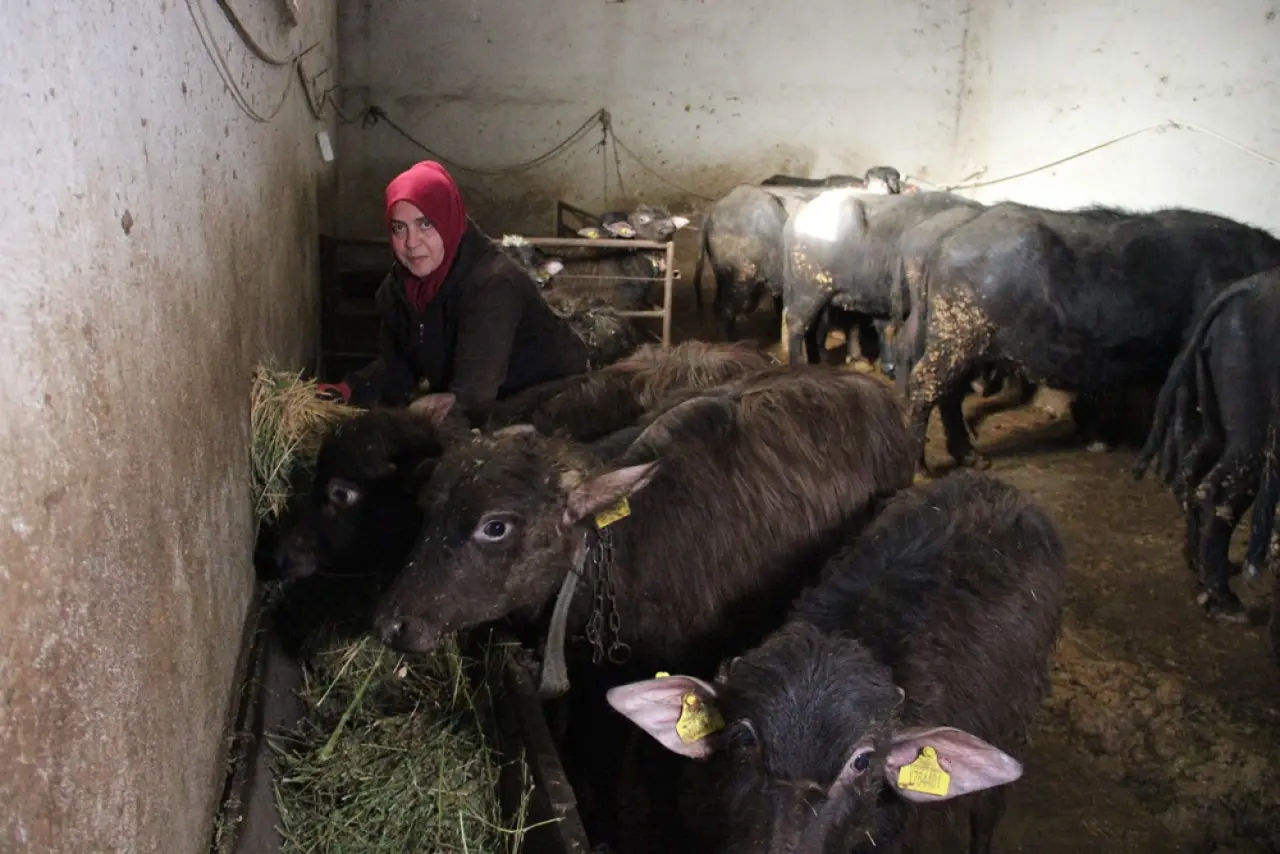 Eleştirileri Dinlemedi, Şimdi Siparişlere Yetişemiyor 2