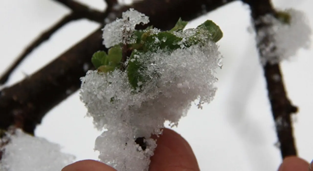 Kar ve Dondurucu Soğuk Kapıda 4