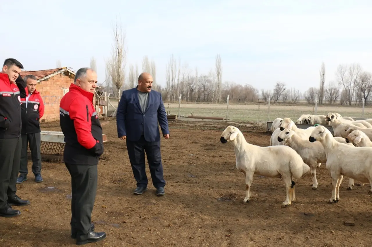 Hayvancılığında Verimlilik ve İş Birliği Odaklı Ziyaret 2