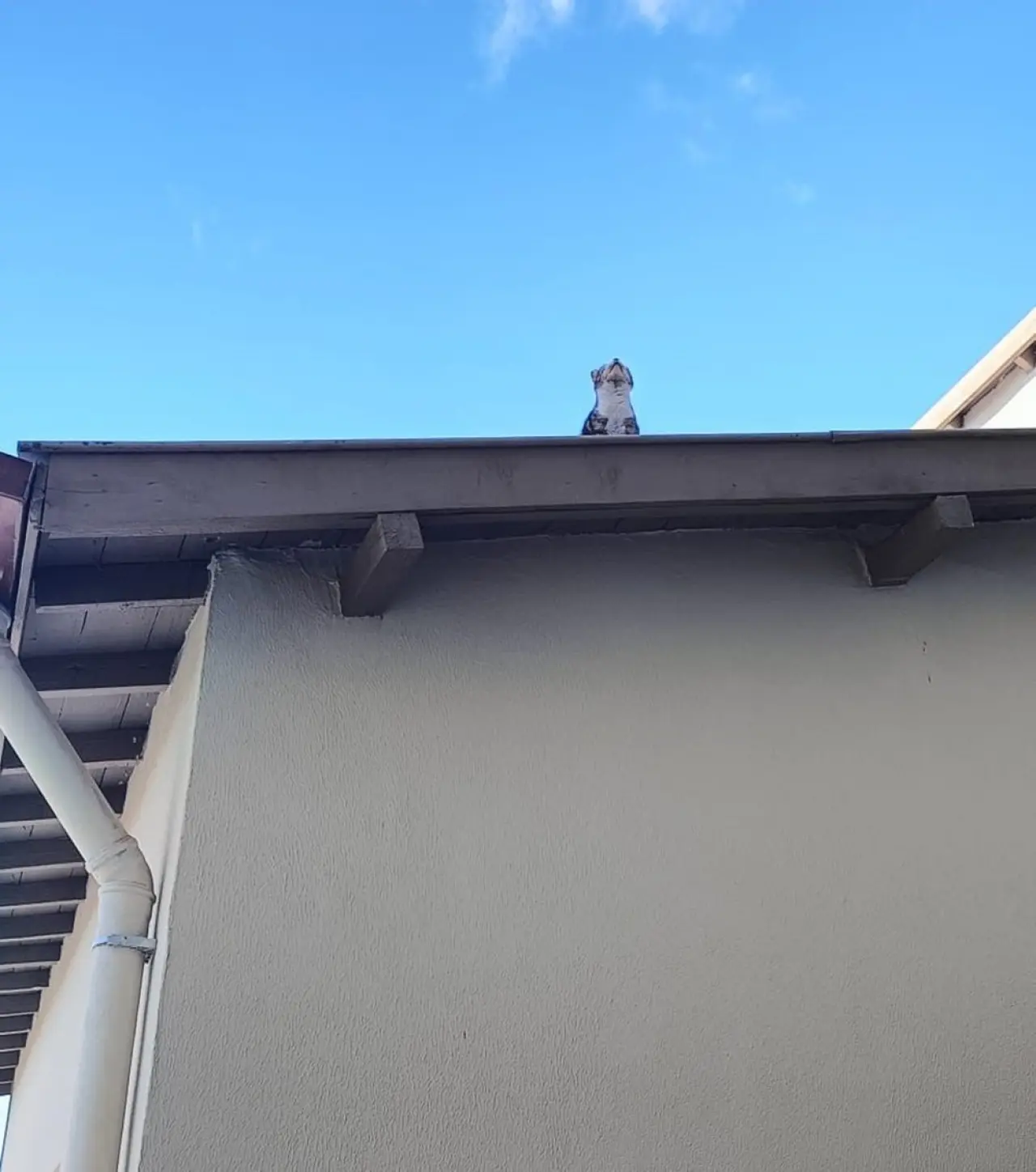 Günlerce Mahsur Kaldığı Yerden Böyle İndirildi 4