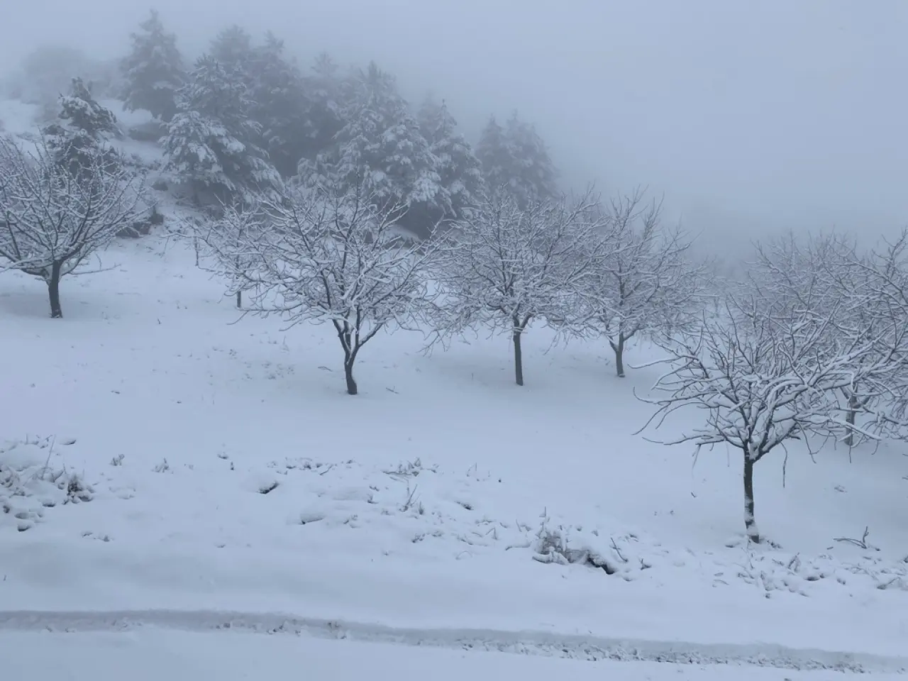 Ceviz Diyarında Kartpostallık Görüntüler 2