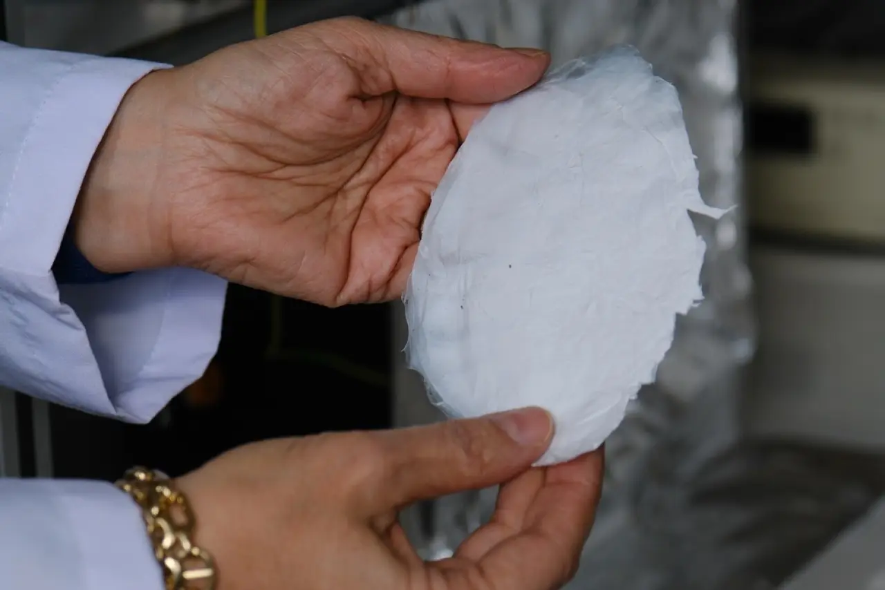 Her Yıl Servet Ödeniyordu, Artık Çorum’da Üretiliyor 11