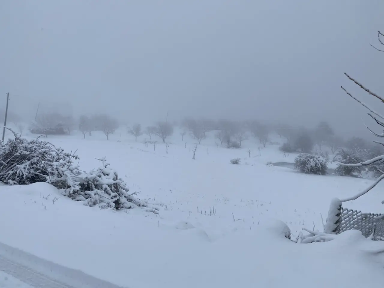 Ceviz Diyarında Kartpostallık Görüntüler 4