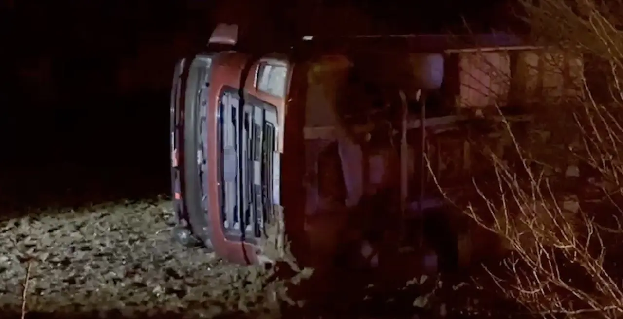 Köpeğe Çarpmamak İçin Manevra Yaptı, Devrildi 3