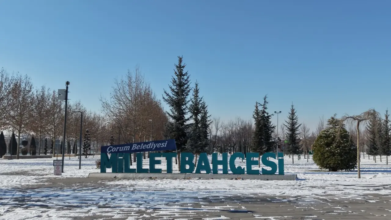 Kar, Kartpostallık Görüntüler Oluşturdu 2