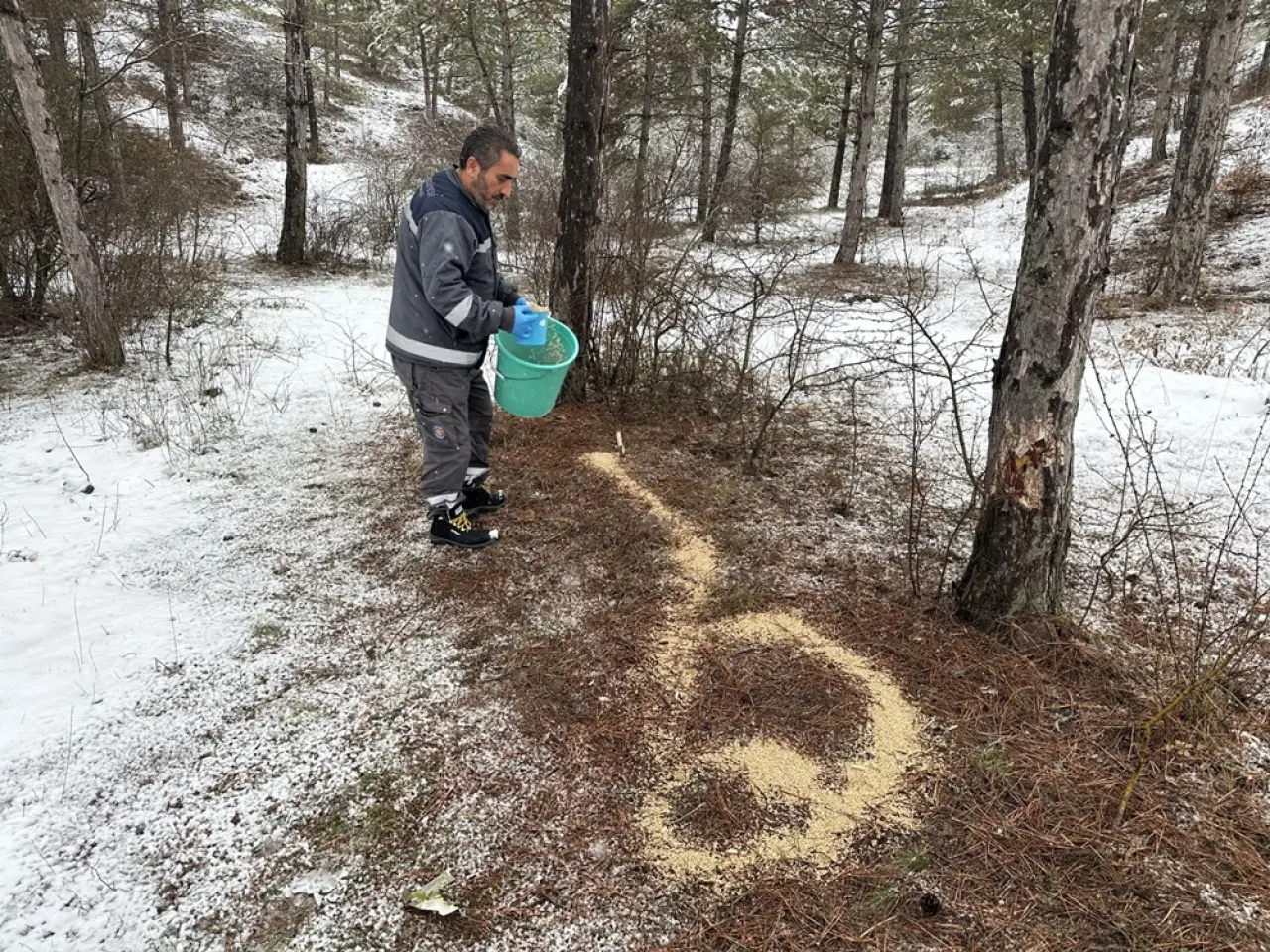 Kış Ortasında Şefkat Eli 1