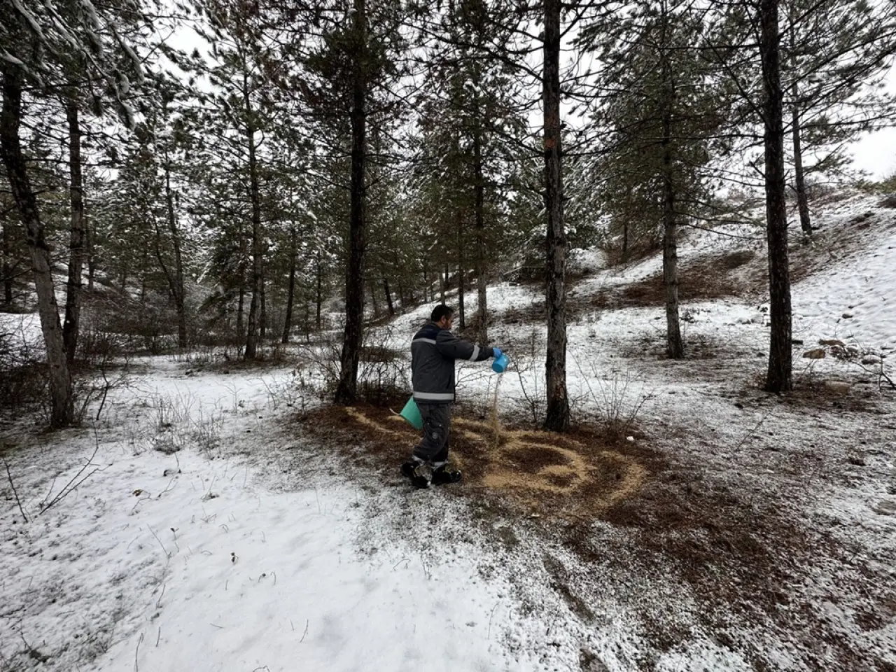 Kış Ortasında Şefkat Eli 4