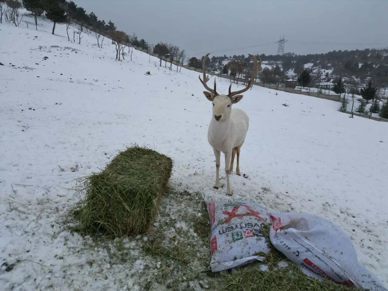 Çocuklar Doğaya Sevgilerini Bıraktı 1