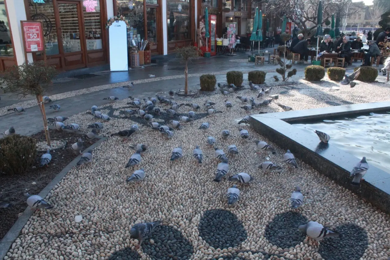 Çorum’un Kalbinde Kanat Sesleri 2