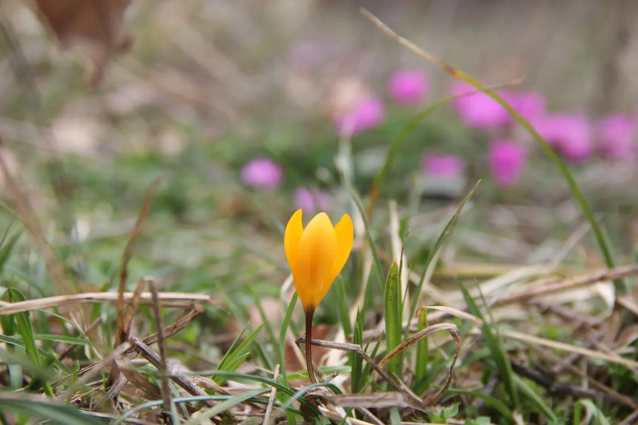 Bu Güzellikler Çorum’da 3