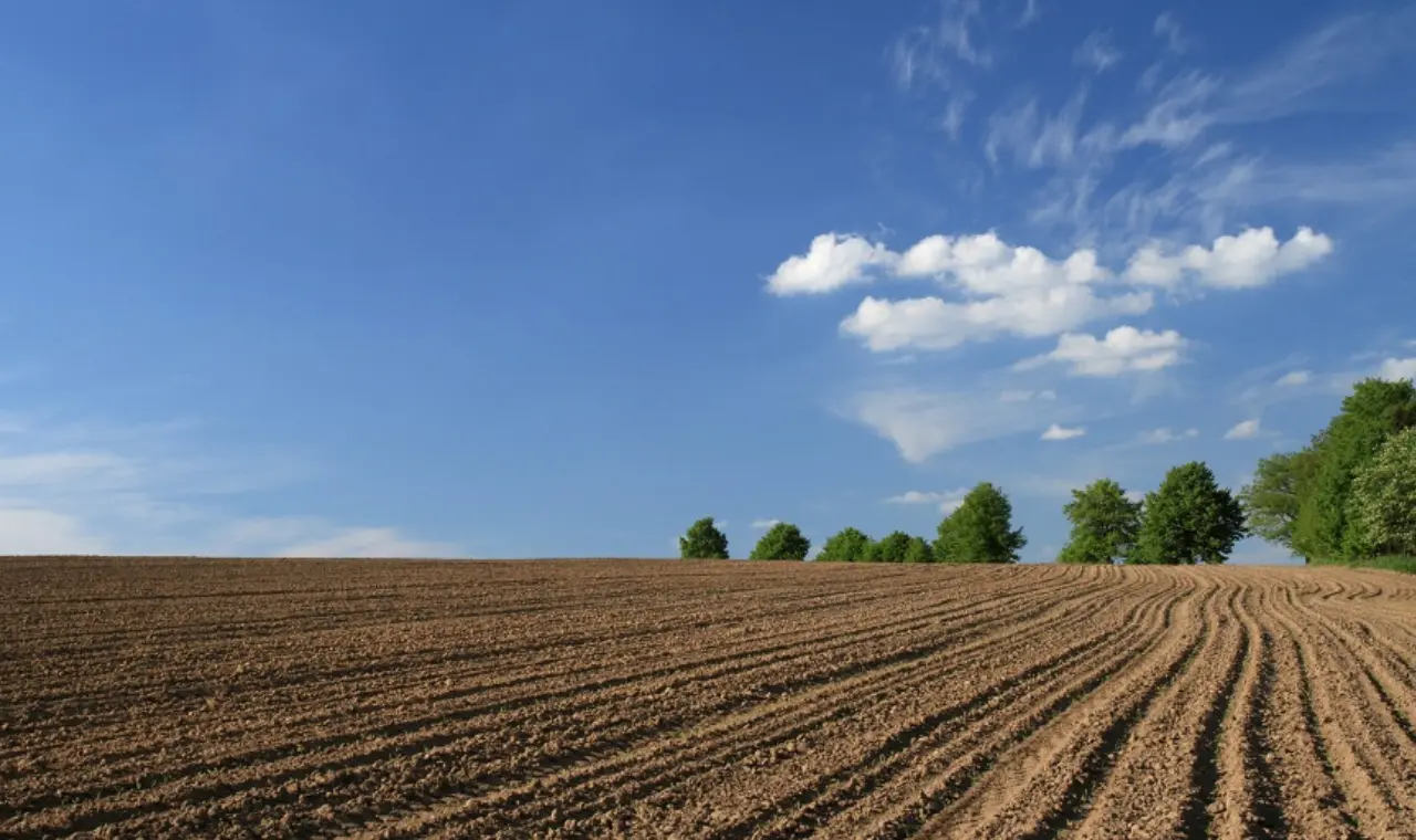 5 ilde 10 kritik arazi satışa çıkartılıyor 4