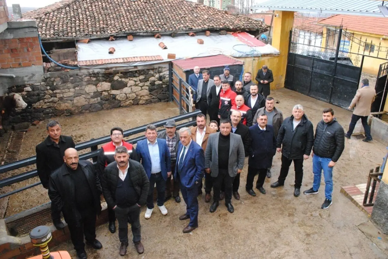 Hibe Desteğiyle Angus Düve Yetiştirecek 3