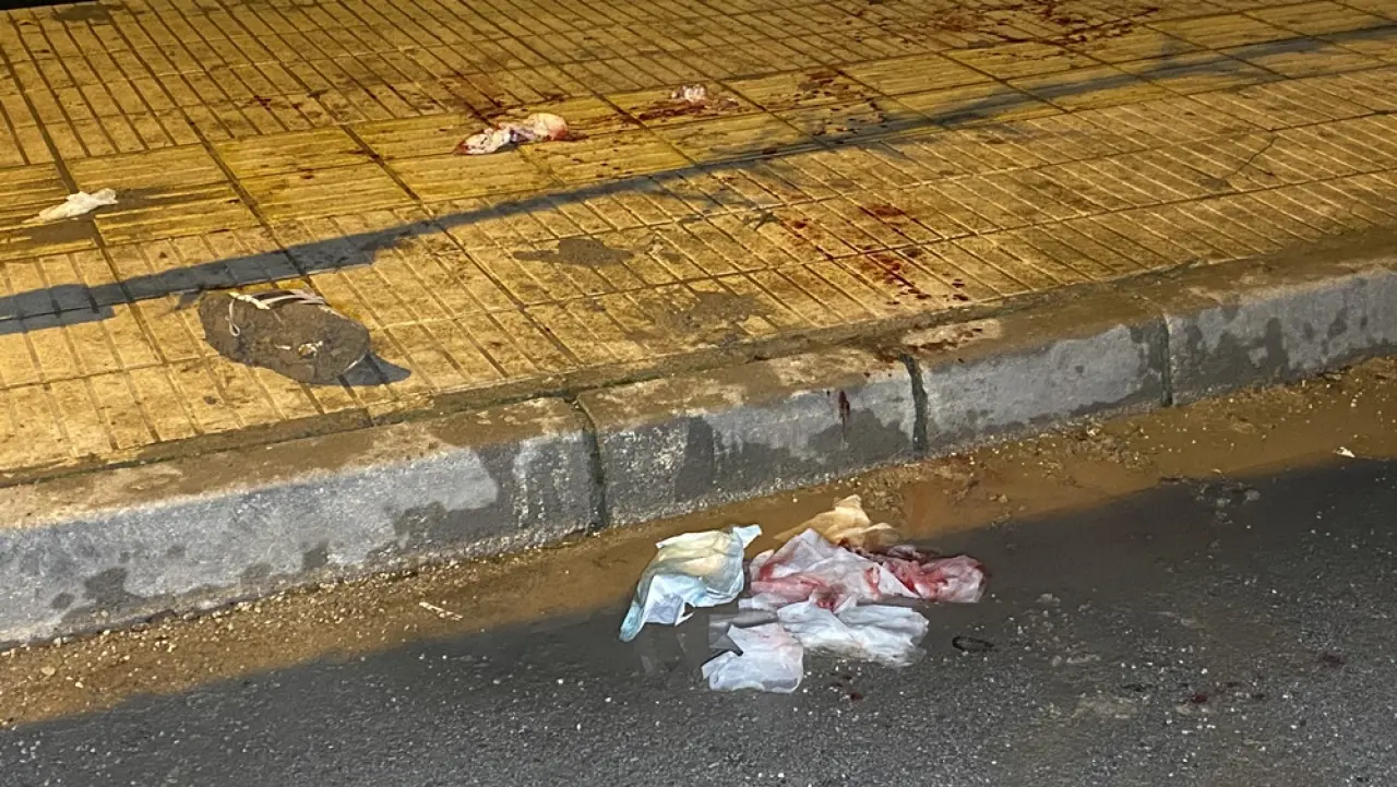 Parkta Dehşet Saçıp İzini Kaybettirdi 5