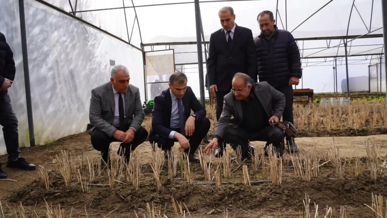 Osmancık’ta Mesleki Eğitime Sera Desteği 3