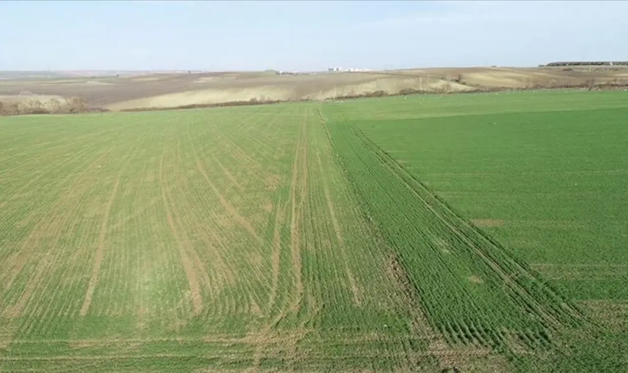 5 ilde 10 kritik arazi satışa çıkartılıyor 1