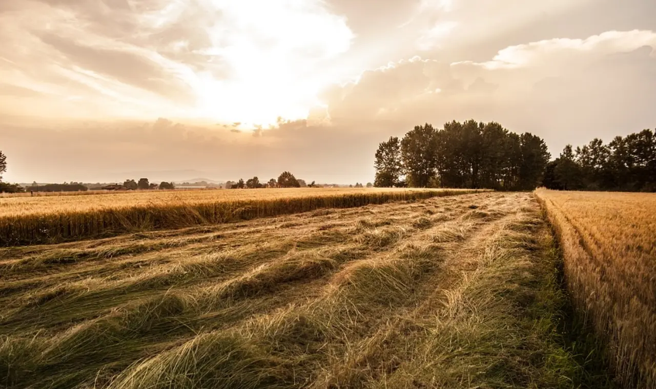 5 ilde 10 kritik arazi satışa çıkartılıyor 3