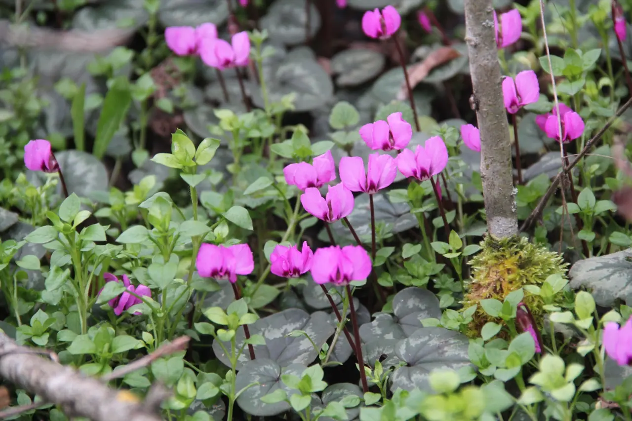 Bu Güzellikler Çorum’da 4