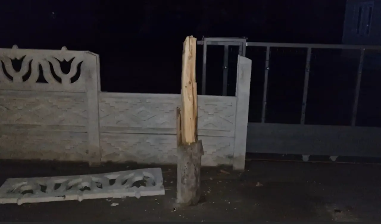 Kamyon, Elektrik ve Telefon Hatlarına Zarar Verdi 2