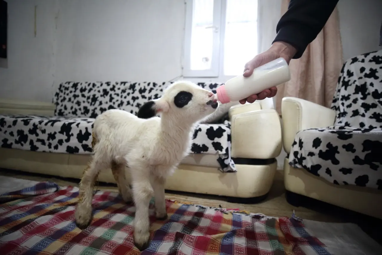 Annesinin O Hediyesi Hayatının Dönüm Noktası Oldu 13