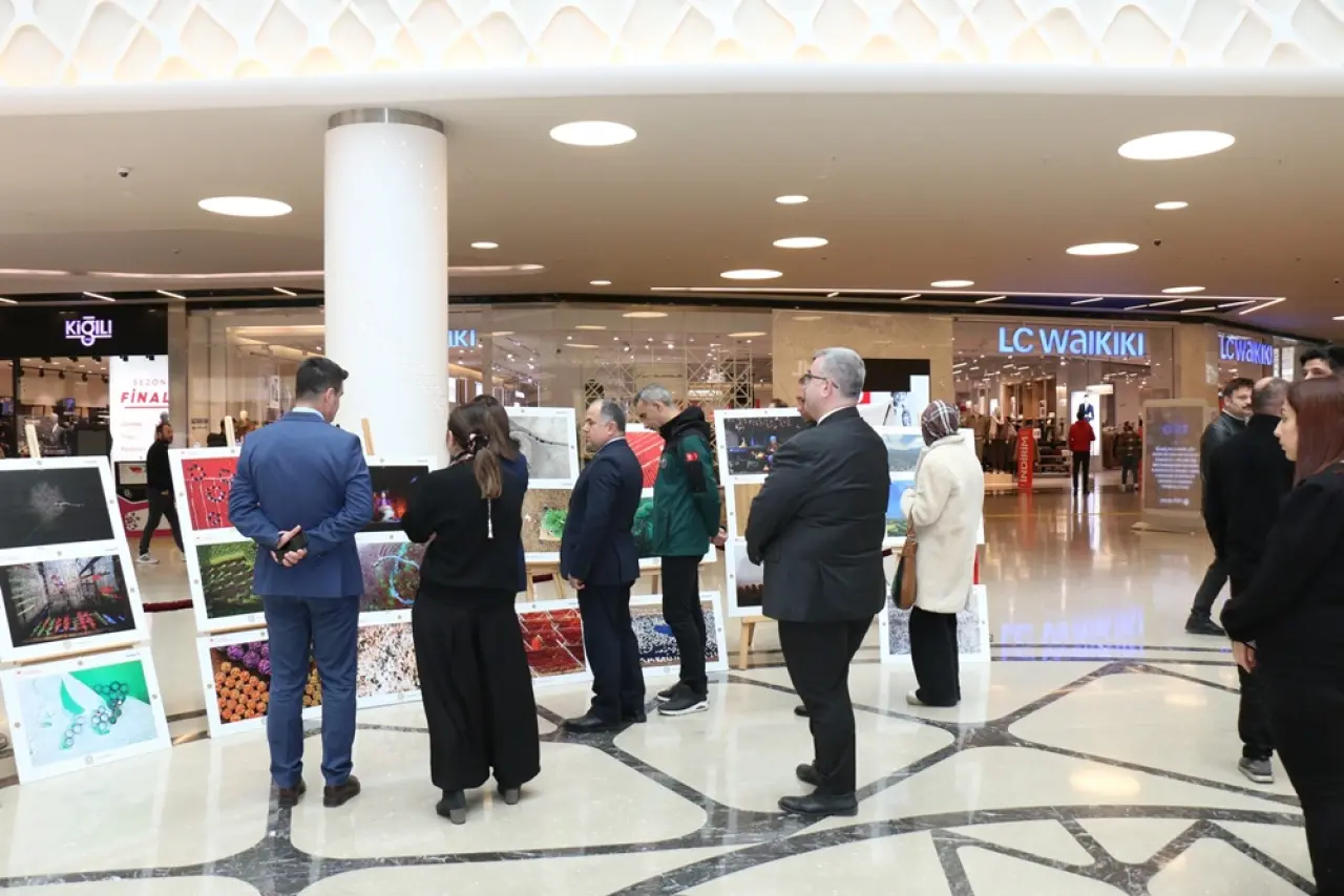 Tarım ve Doğanın Eşsiz Kareleri Görücüye Çıktı 4