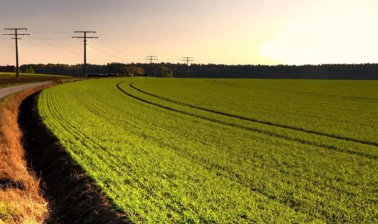 5 ilde 10 kritik arazi satışa çıkartılıyor 2