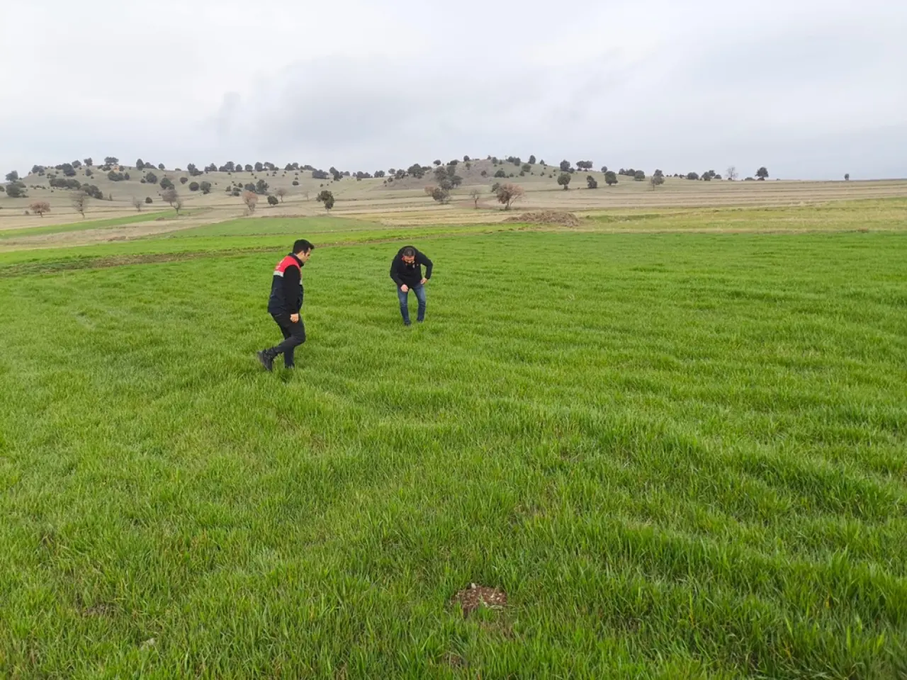 Tarım Arazilerinde Sıkı Takip Sürüyor 5