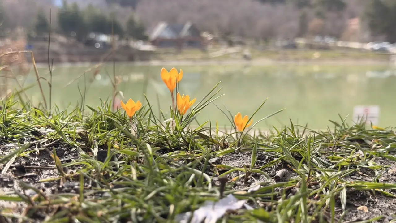 Çorum’un Saklı Cenneti Renklere Büründü 1