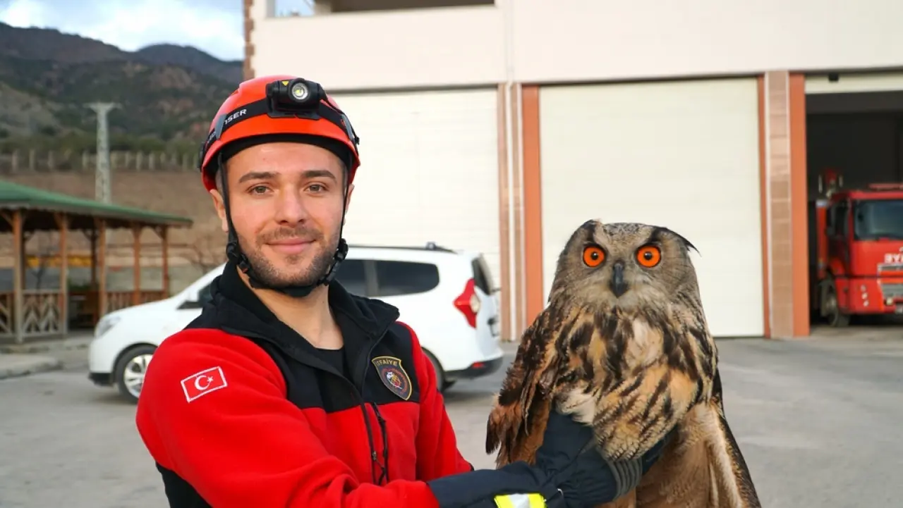 Yaralı Puhu İçin Seferberlik 4