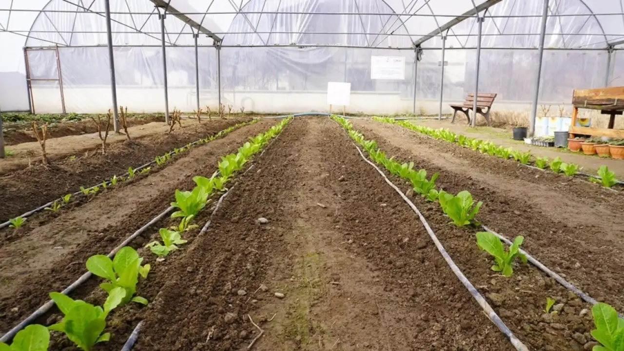 Osmancık’ta Mesleki Eğitime Sera Desteği 2