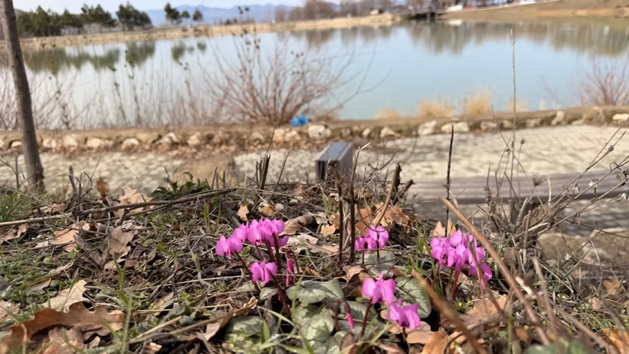 Çorum’un Saklı Cenneti Renklere Büründü 2