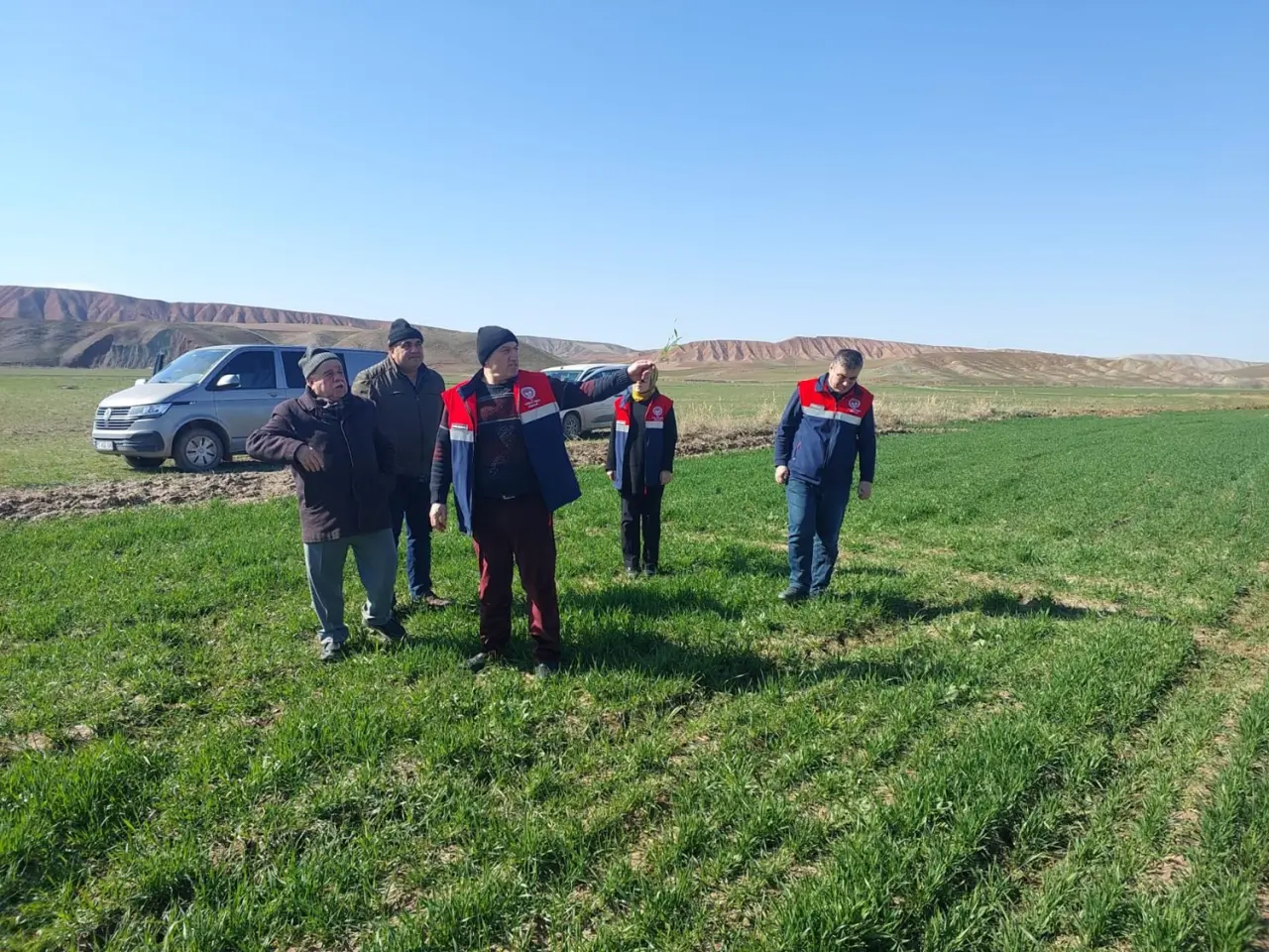 Hububat Alanlarında Hastalık Taraması 1