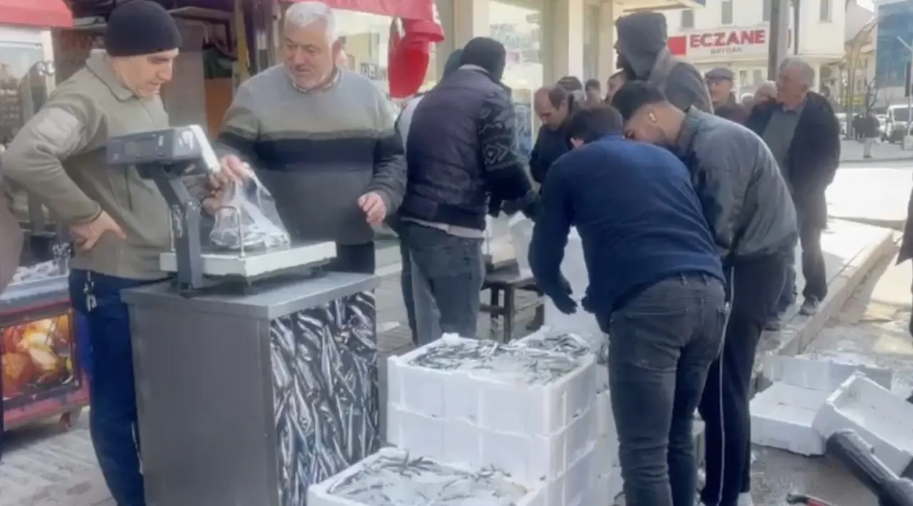 1 Ton 700 Kilogram Balığı Ücretsiz Dağıttılar 3