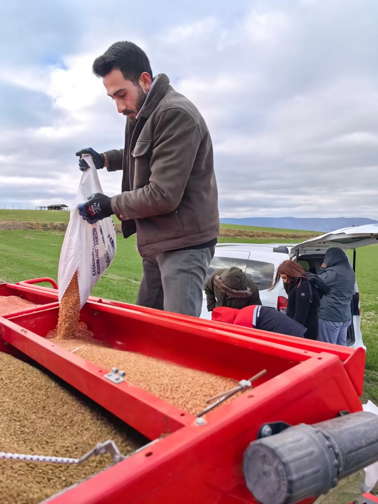 Yerli ve Milli Buğday Çeşidi Çorum’da Toprakla Buluştu 4