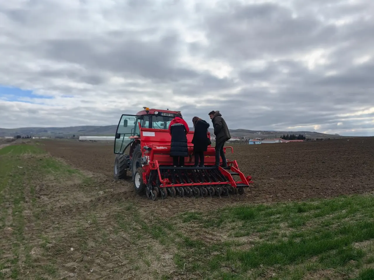 Yerli ve Milli Buğday Çeşidi Çorum’da Toprakla Buluştu 1