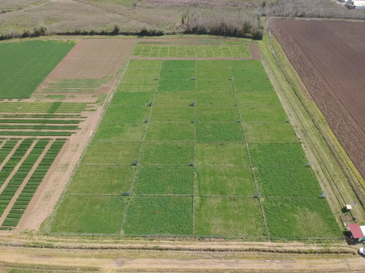 Çorumlu Çiftçinin Yeni Ürün Arayışı Karadeniz'e Uzandı 1