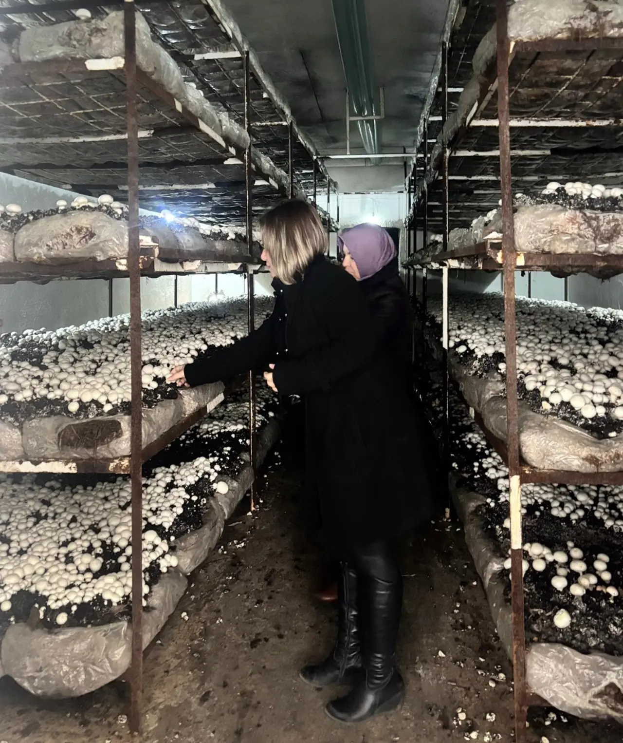 Zehirsiz Sofralar İçin Tarlada Kalıntı Mesaisi 2