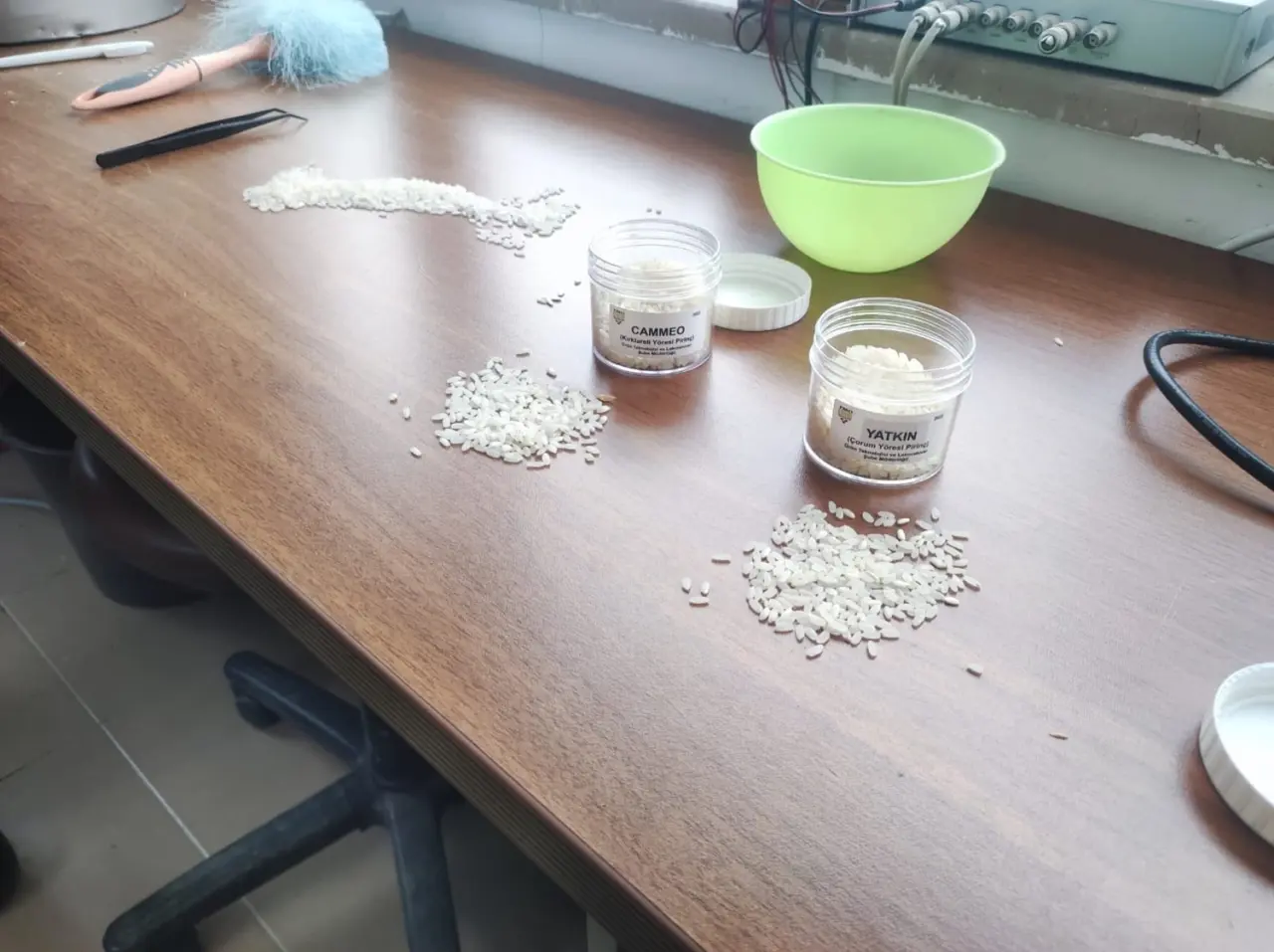 Çeltik Alım Süreçleri Yerinde İncelendi 1