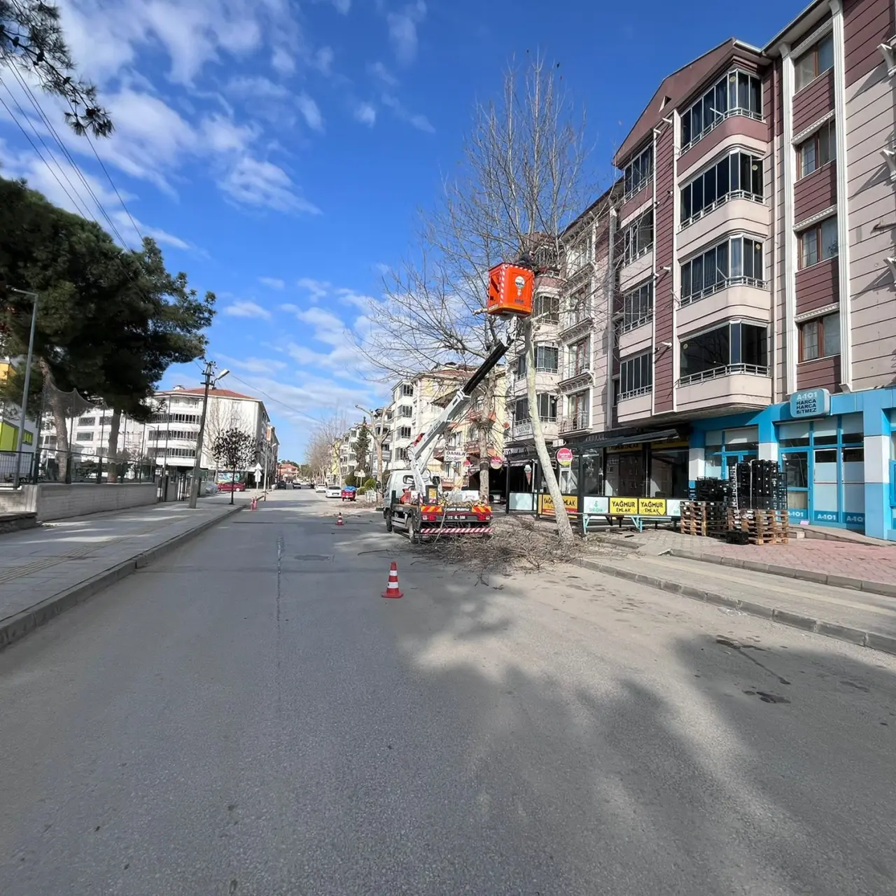 Yeşil Alan Ve Parklarda Bakım Çalışmaları Sürüyor 3