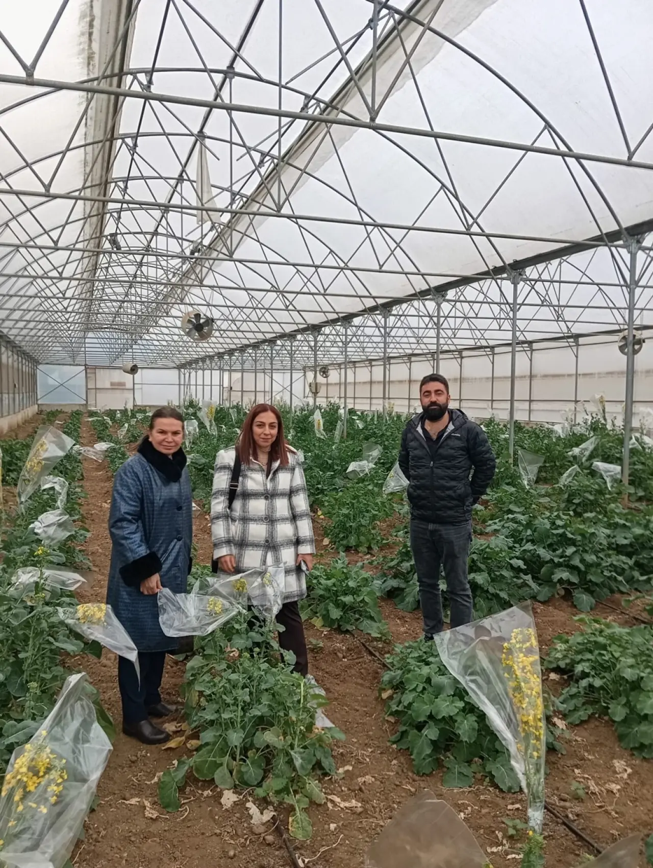 Çorumlu Çiftçinin Yeni Ürün Arayışı Karadeniz'e Uzandı 4