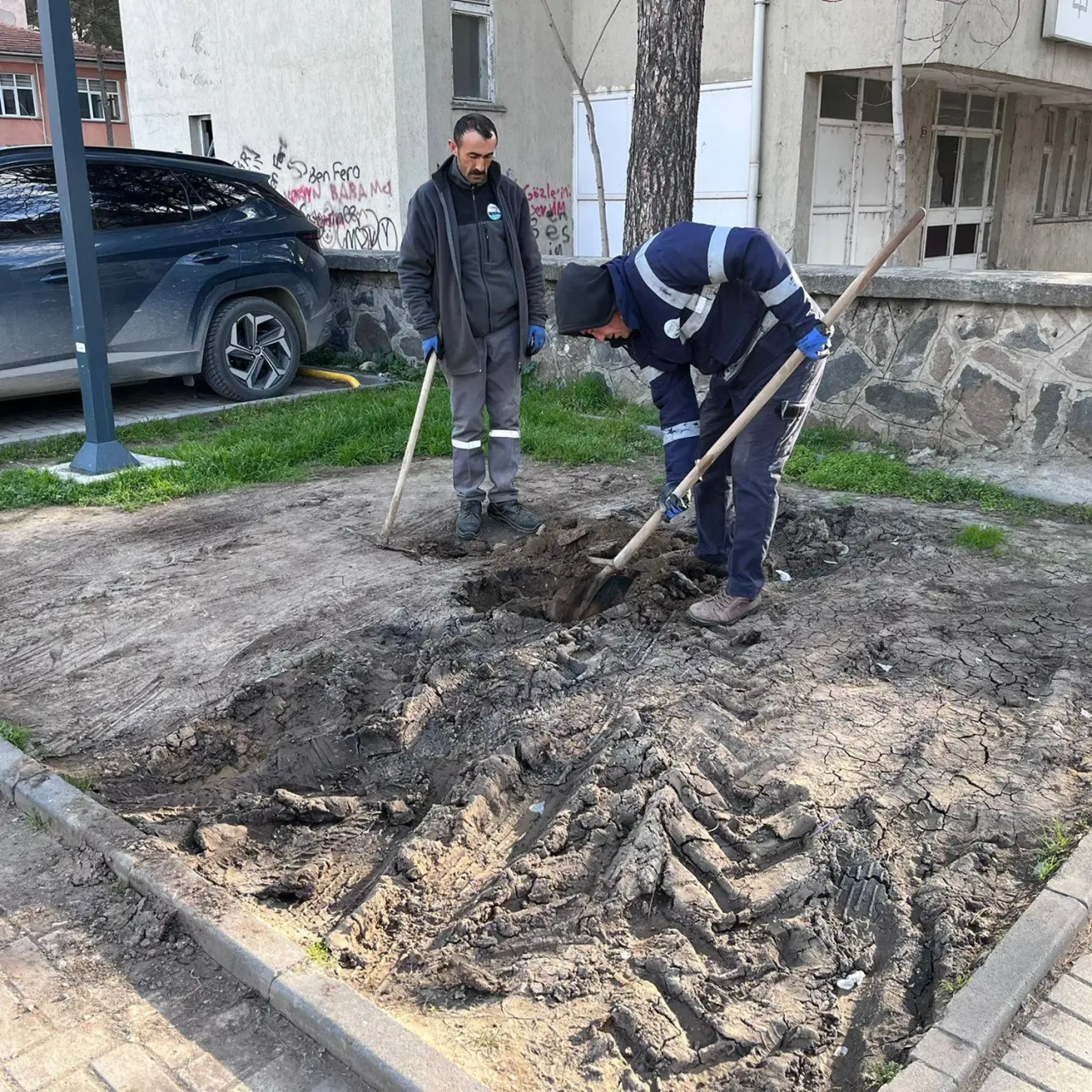 Yeşil Alan Ve Parklarda Bakım Çalışmaları Sürüyor 4